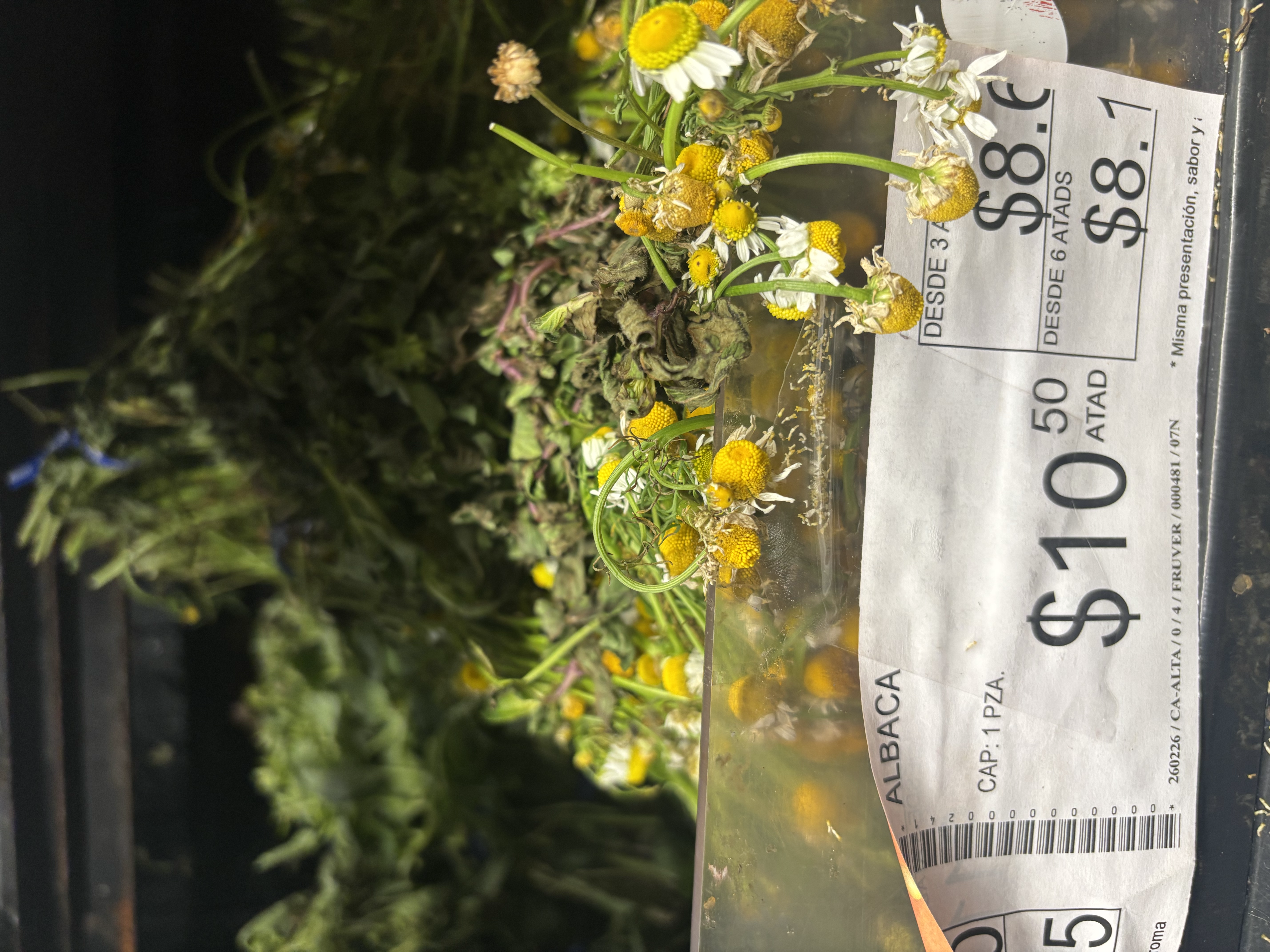 Möchtegern Hippies in Tulum – Foto 3