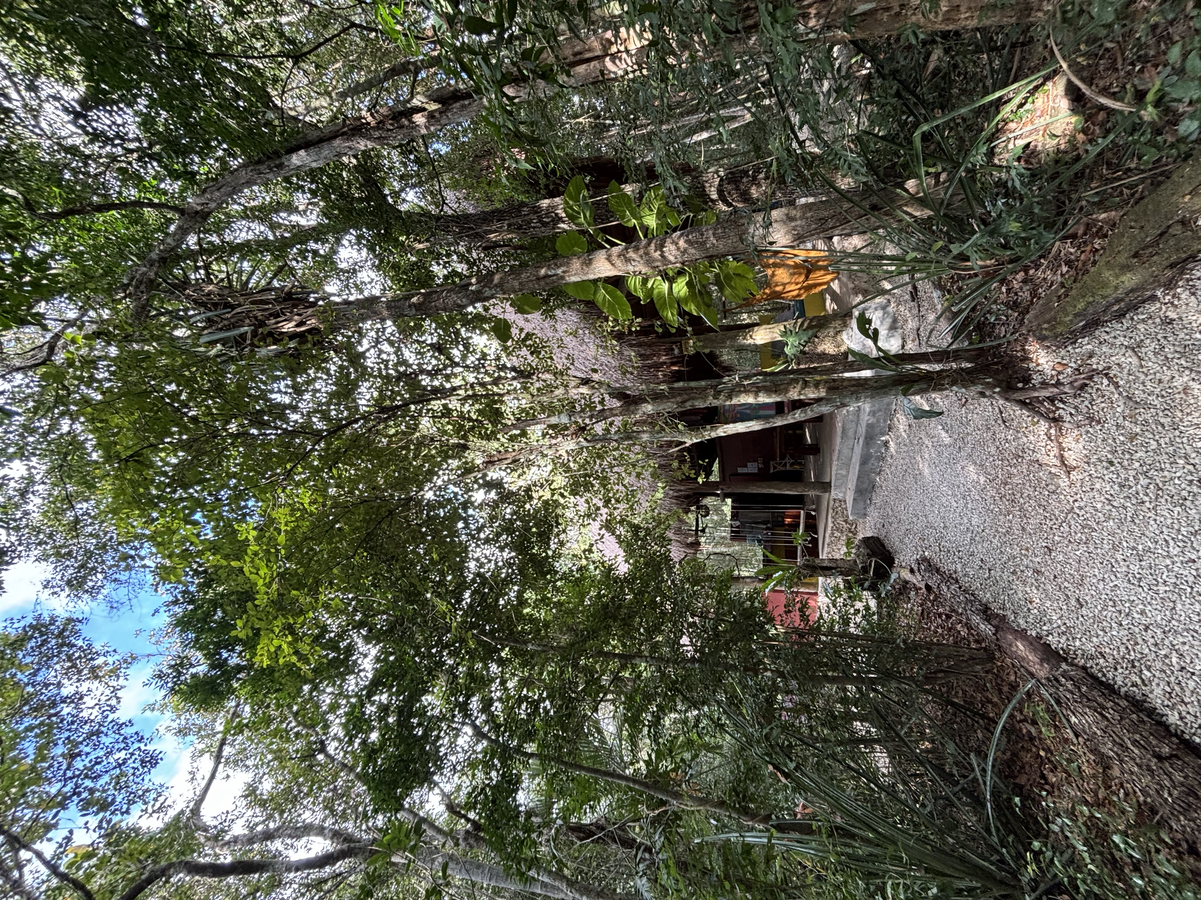 Möchtegern Hippies in Tulum – Foto 6