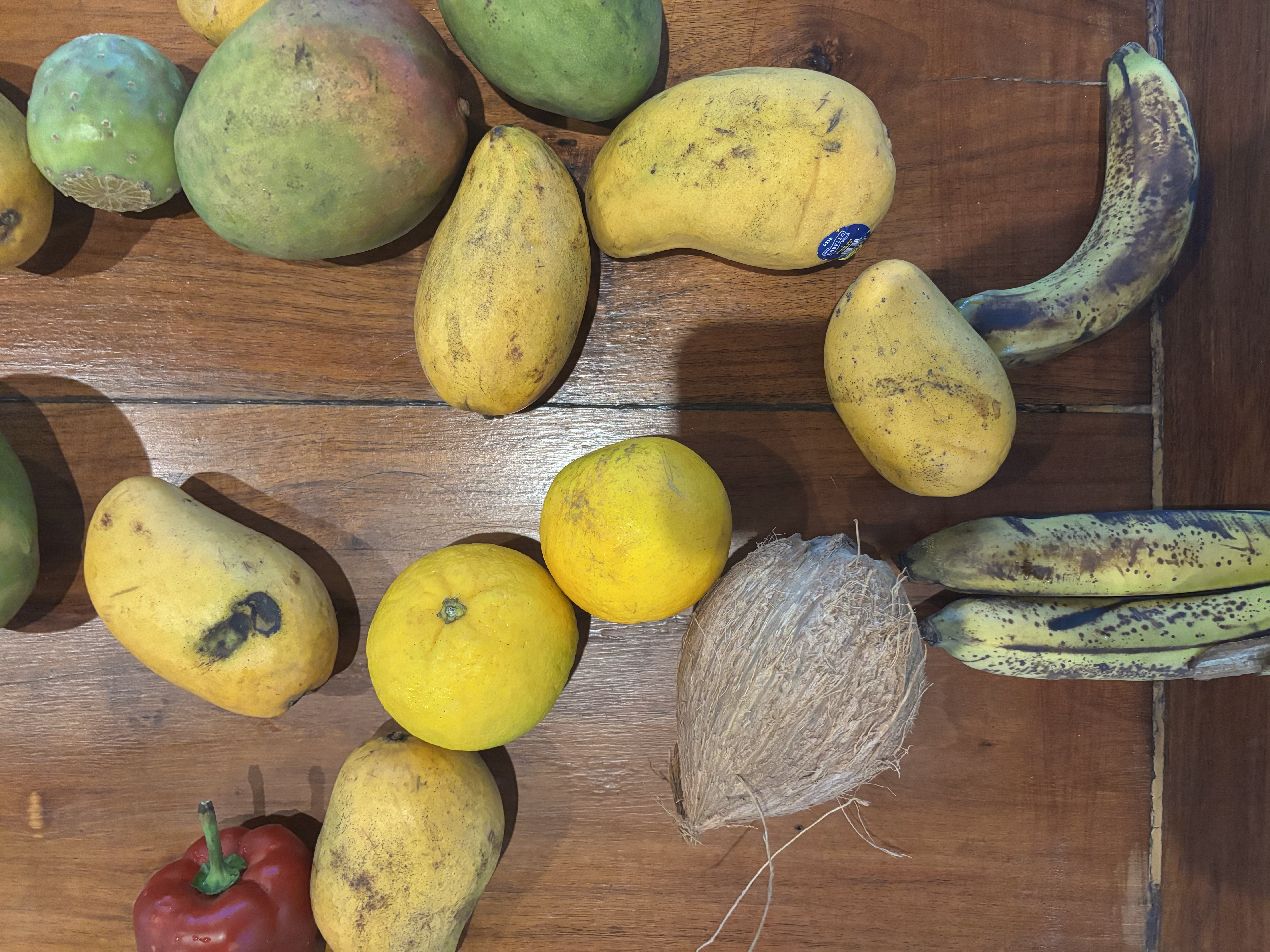 Möchtegern Hippies in Tulum – Foto 10