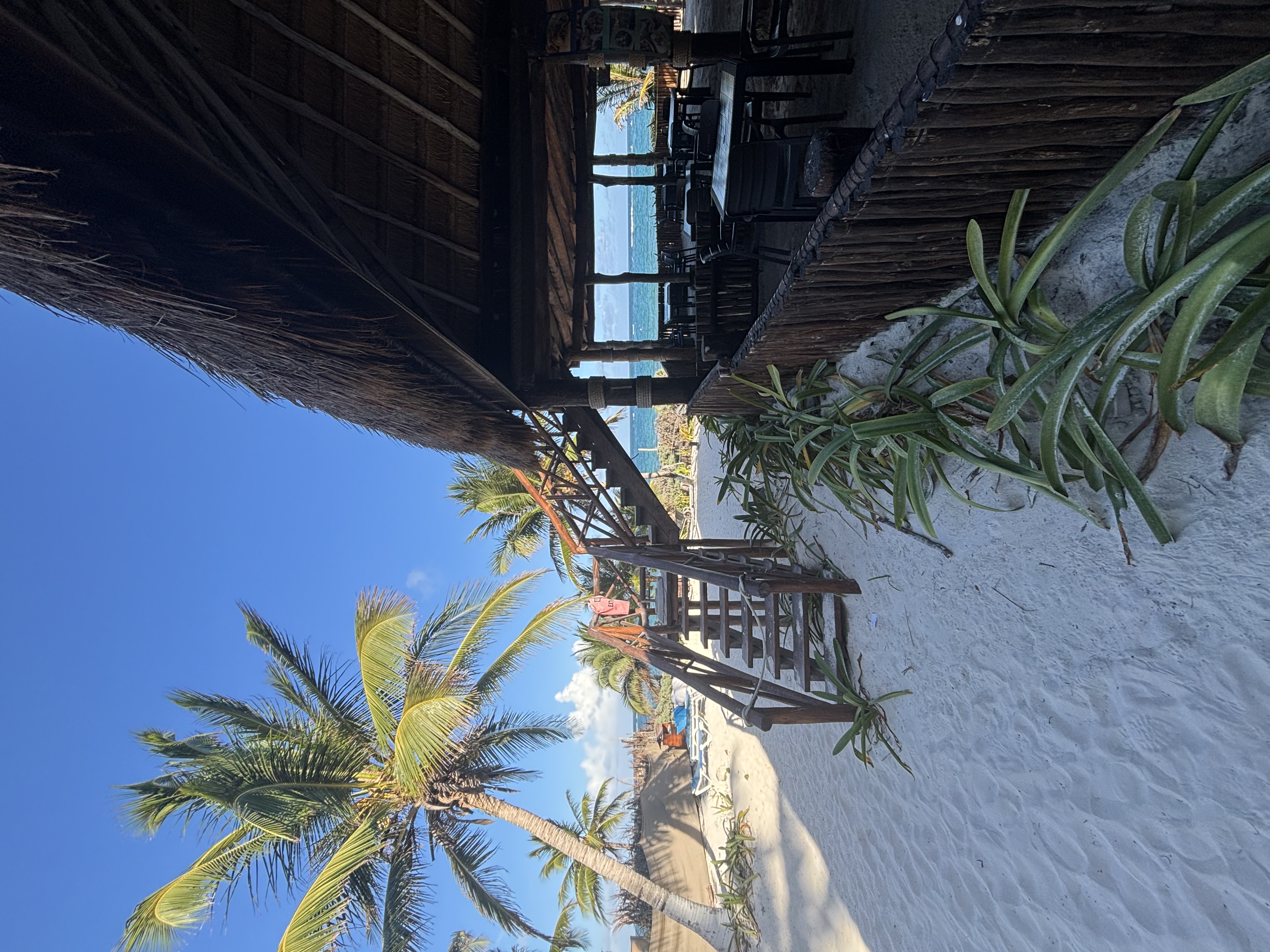 Tulum nach Oaxaca – Roadtrip – Foto 1