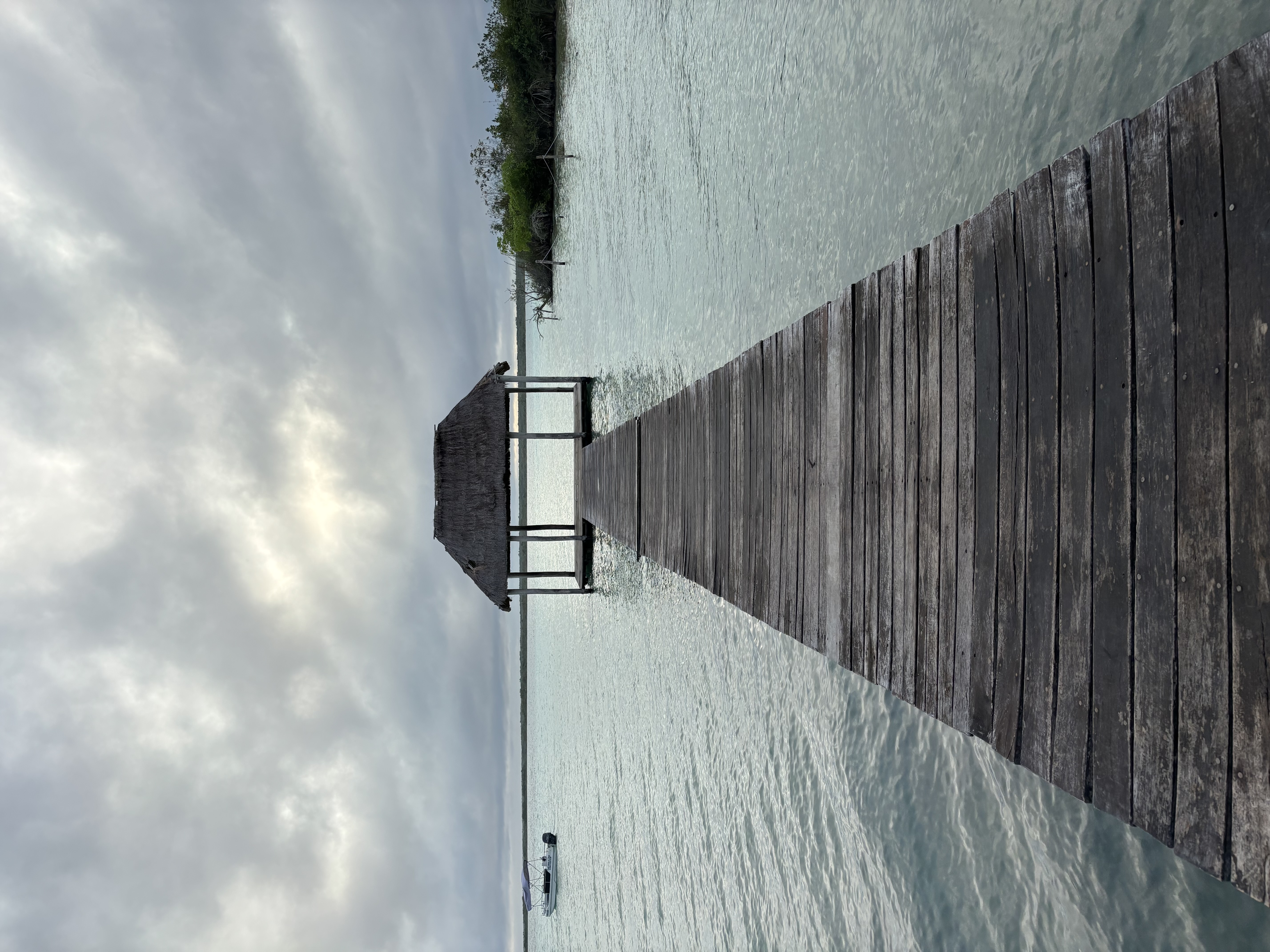 Tulum nach Oaxaca – Roadtrip – Foto 6