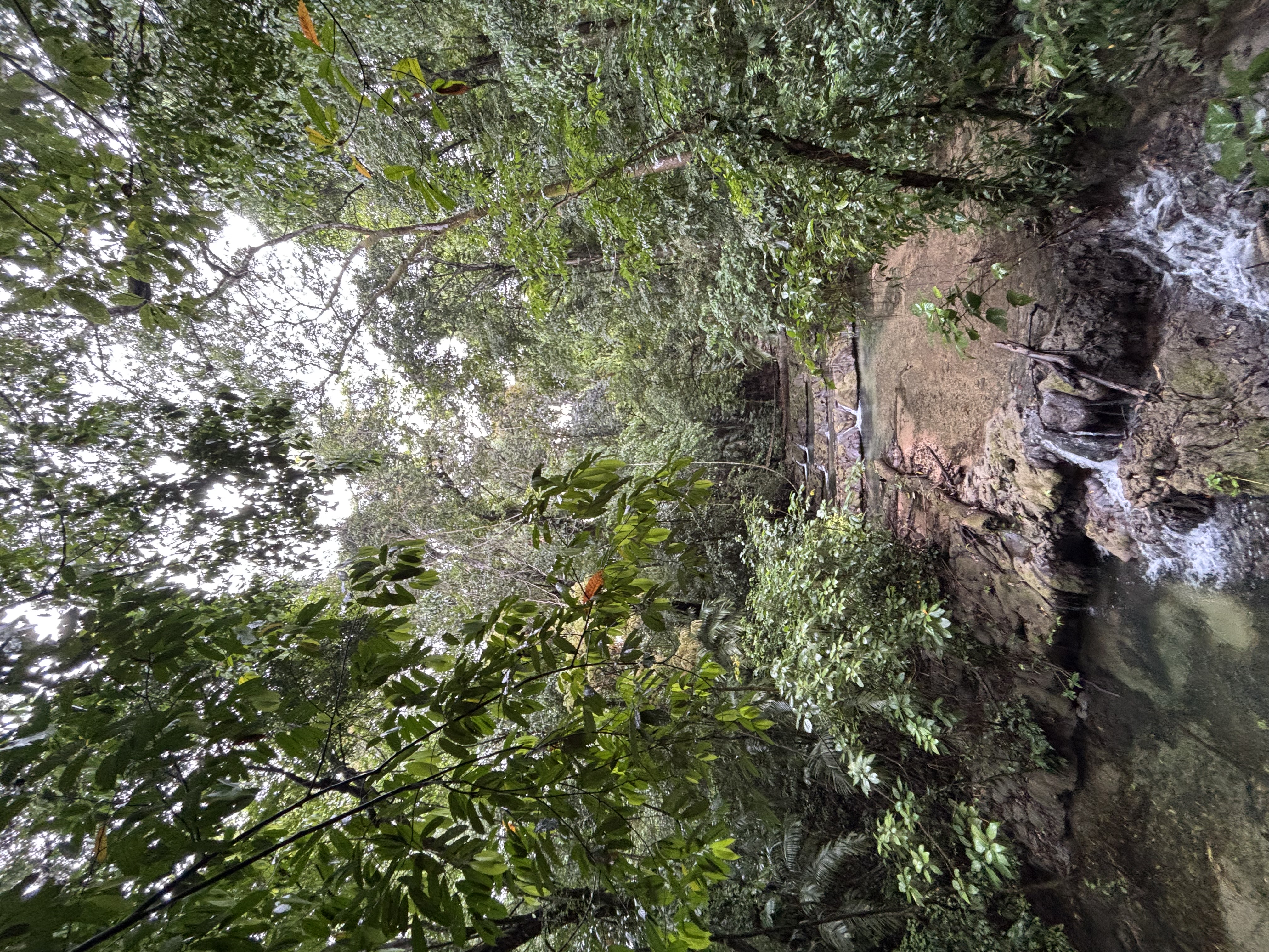 Tulum nach Oaxaca – Roadtrip – Foto 10