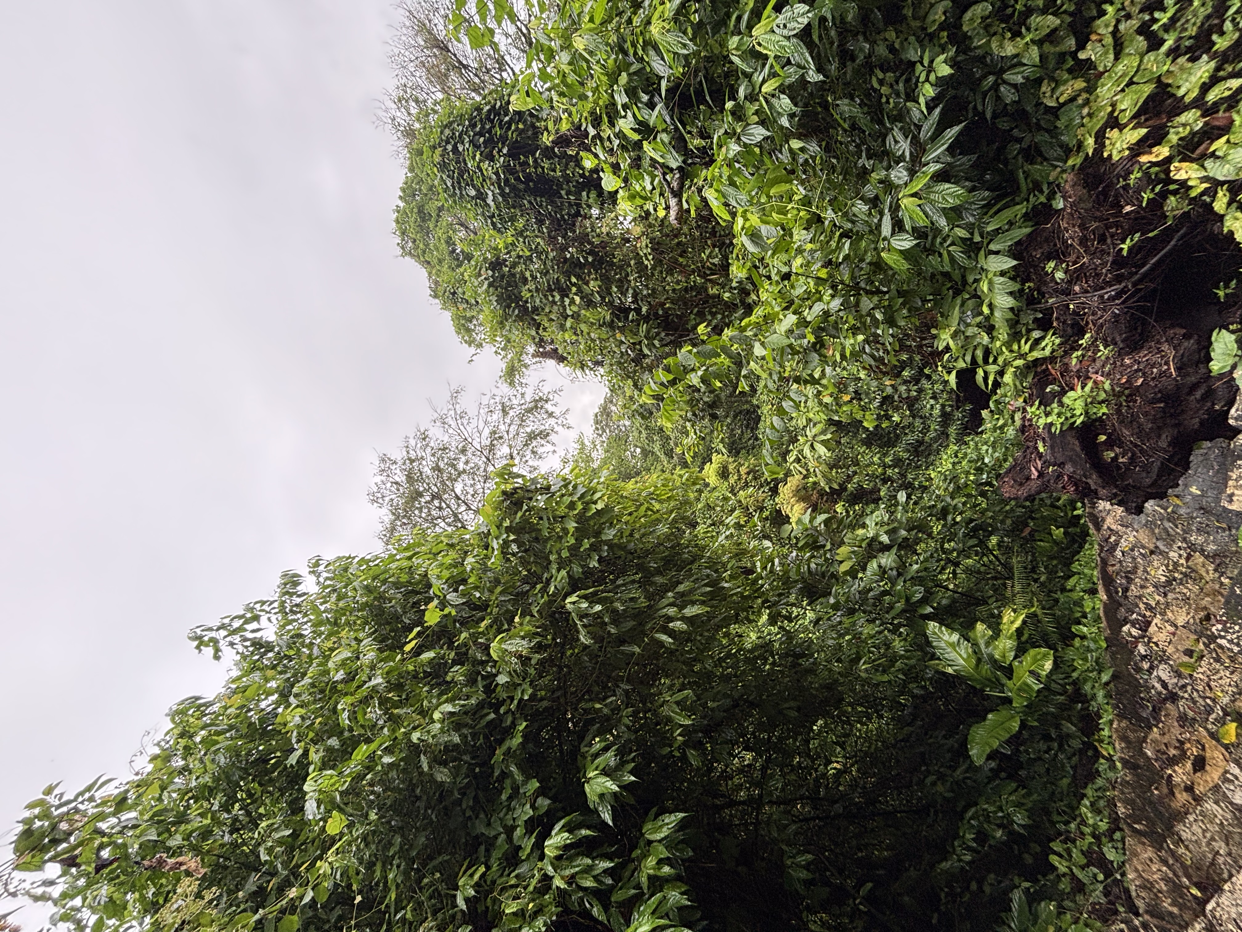 Tulum nach Oaxaca – Roadtrip – Foto 11