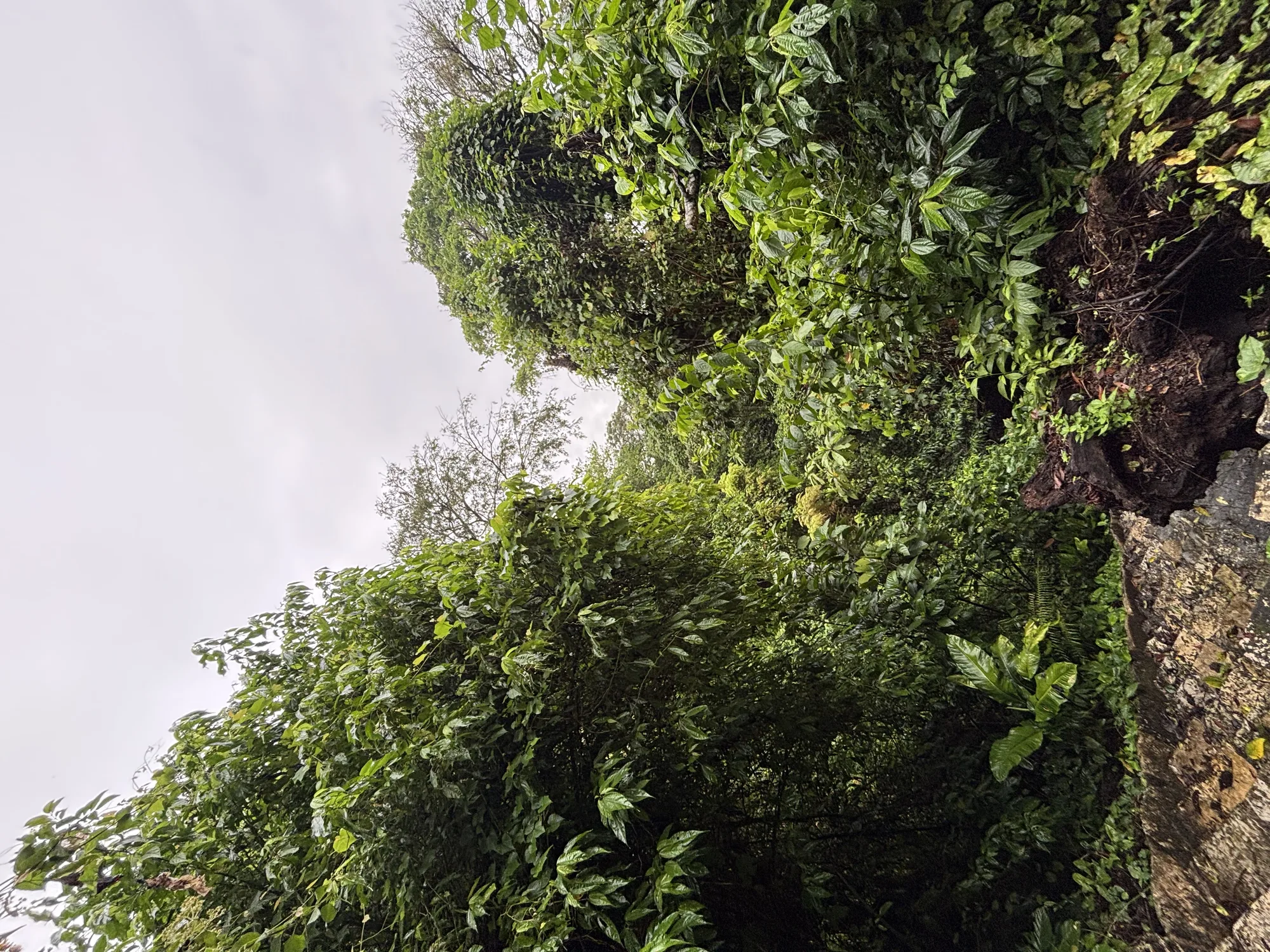 Tulum nach Oaxaca – Roadtrip – Foto 11