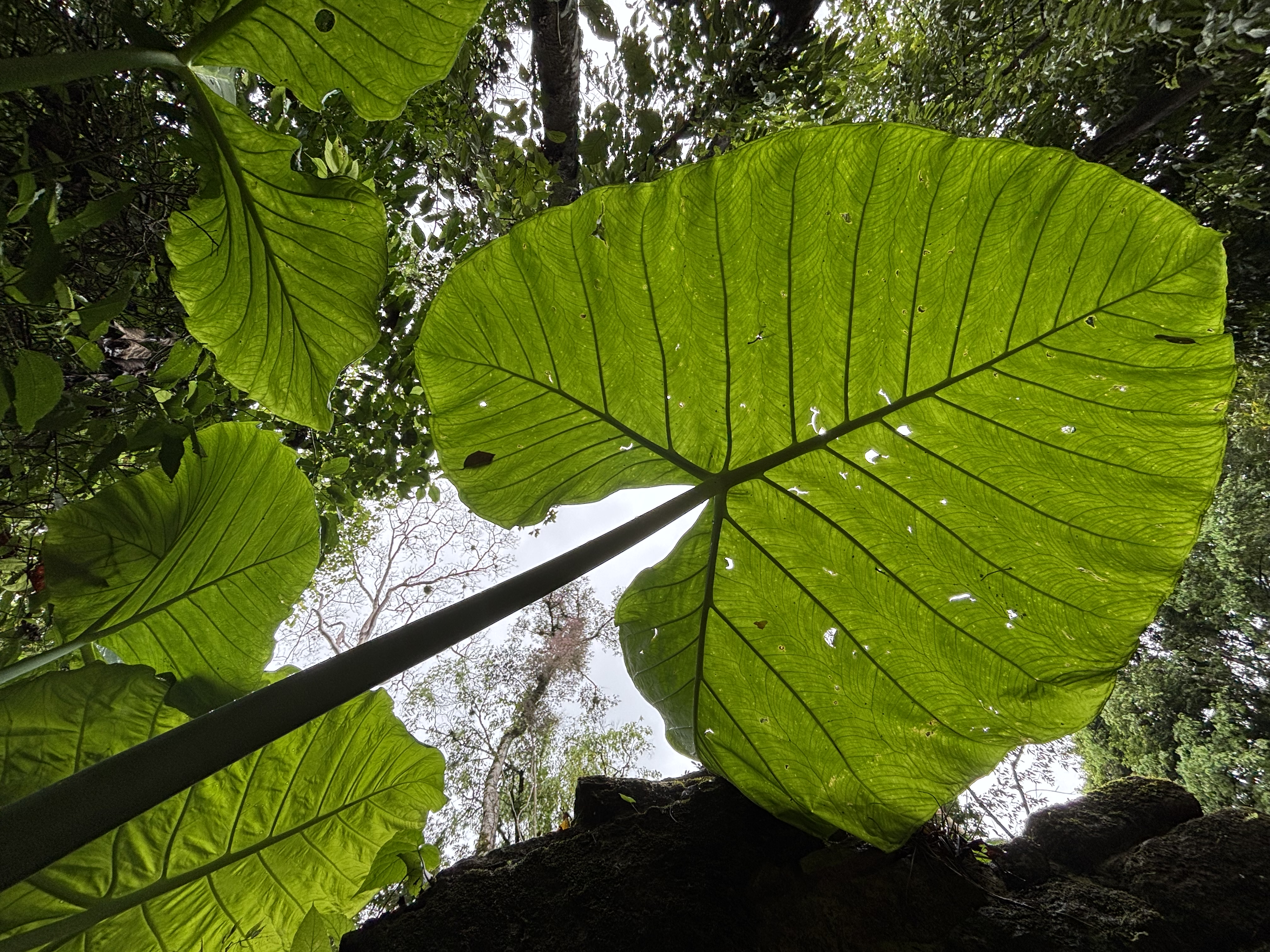 Tulum nach Oaxaca – Roadtrip – Foto 19