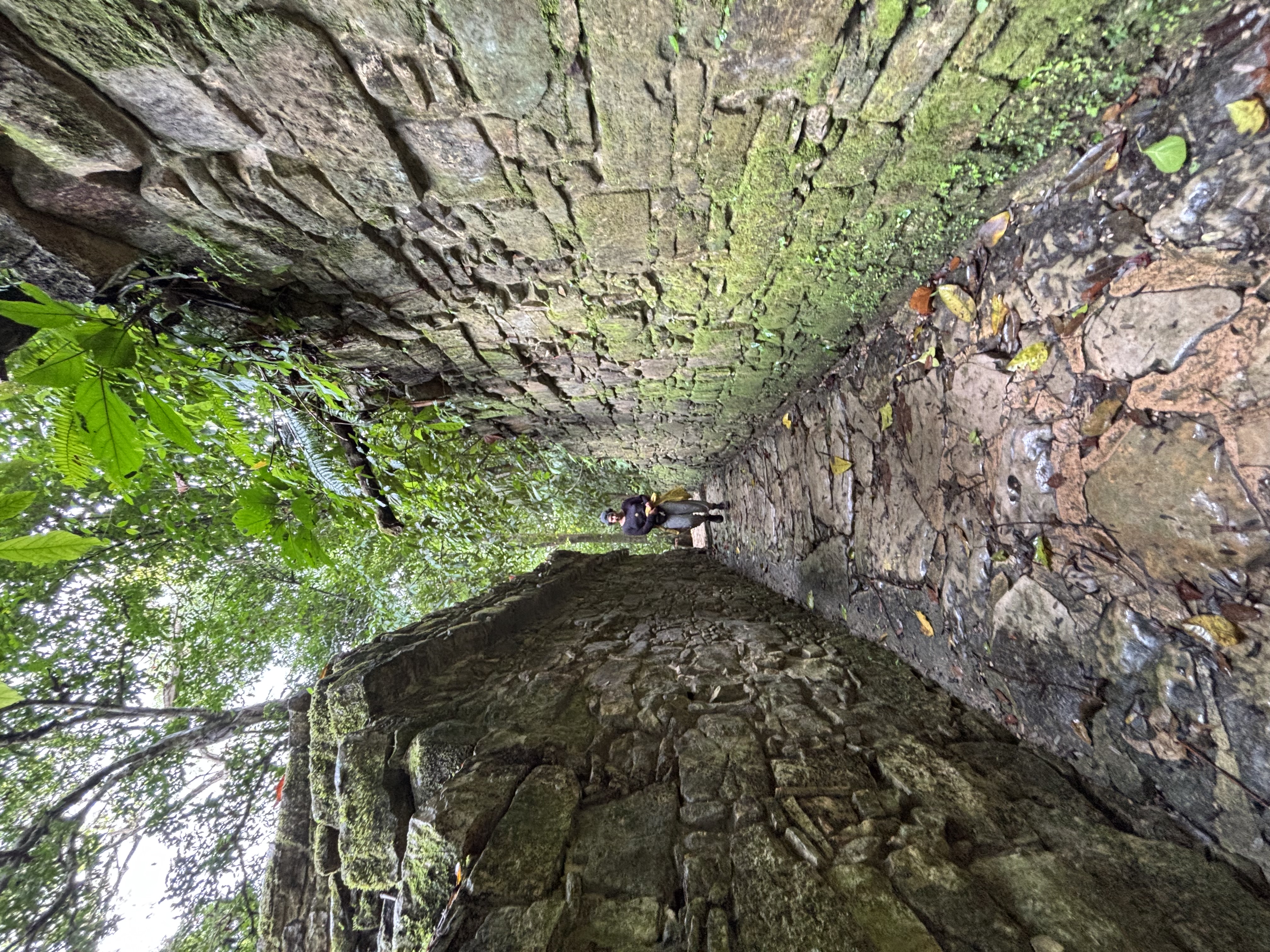 Tulum nach Oaxaca – Roadtrip – Foto 20