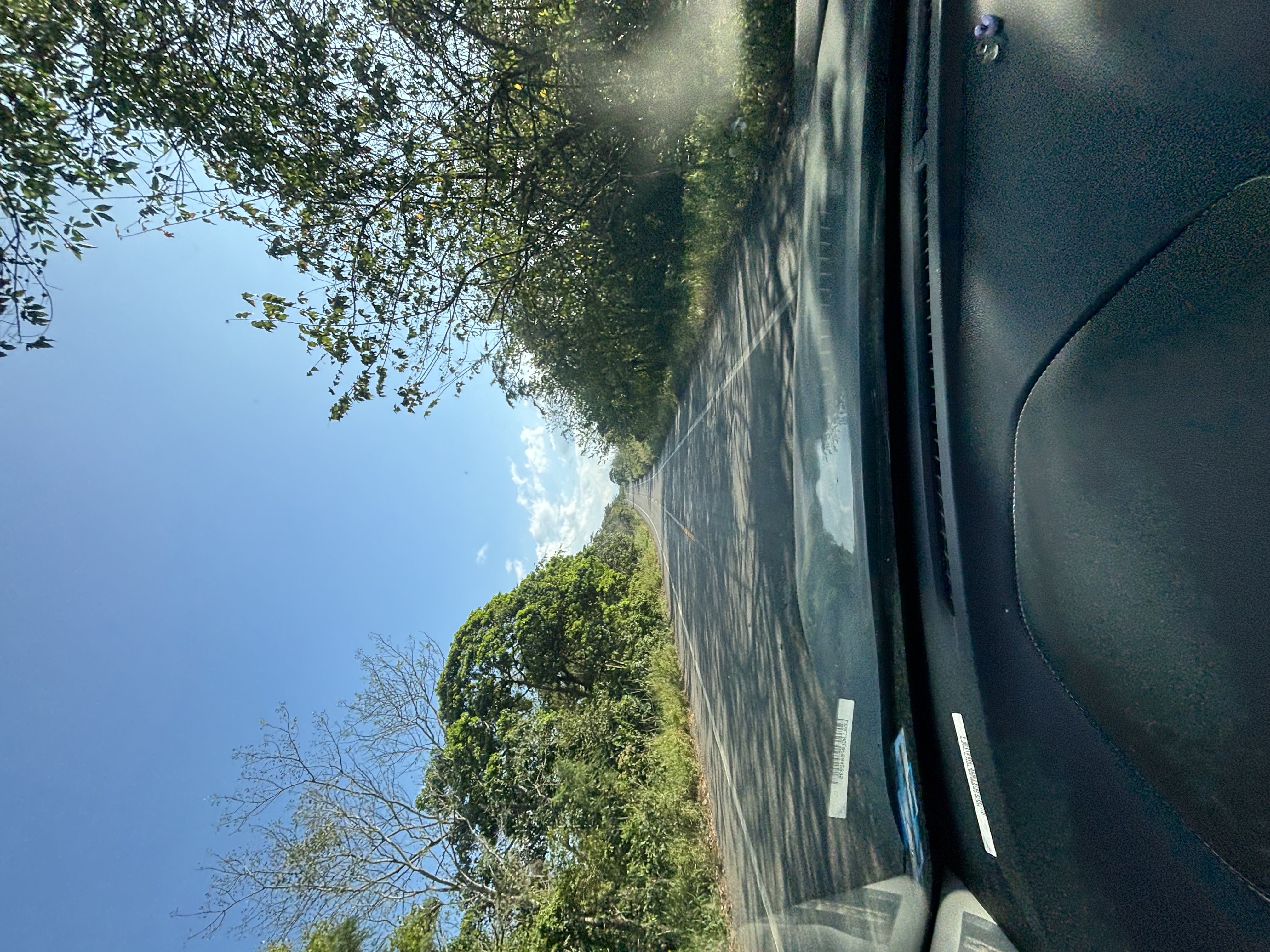 Tulum nach Oaxaca – Roadtrip – Foto 21