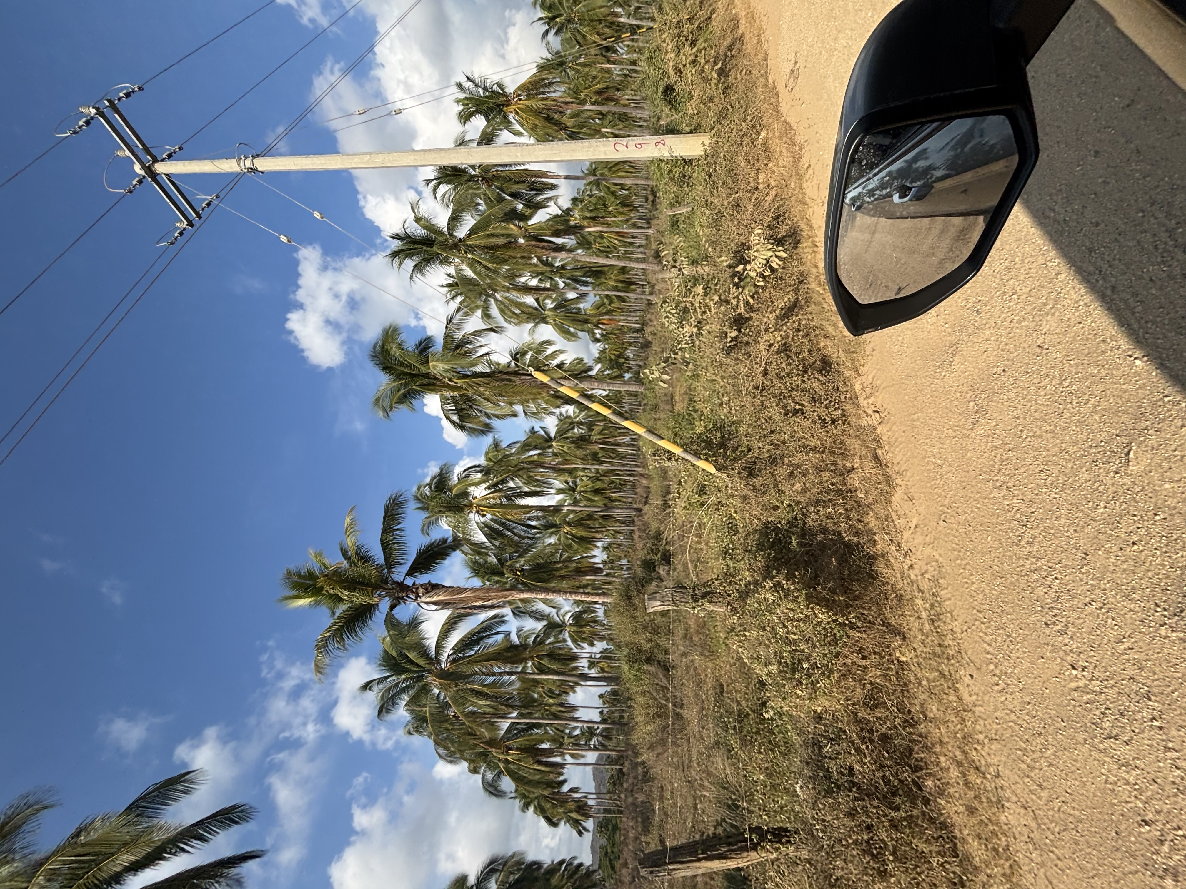 Tulum nach Oaxaca – Roadtrip – Foto 27