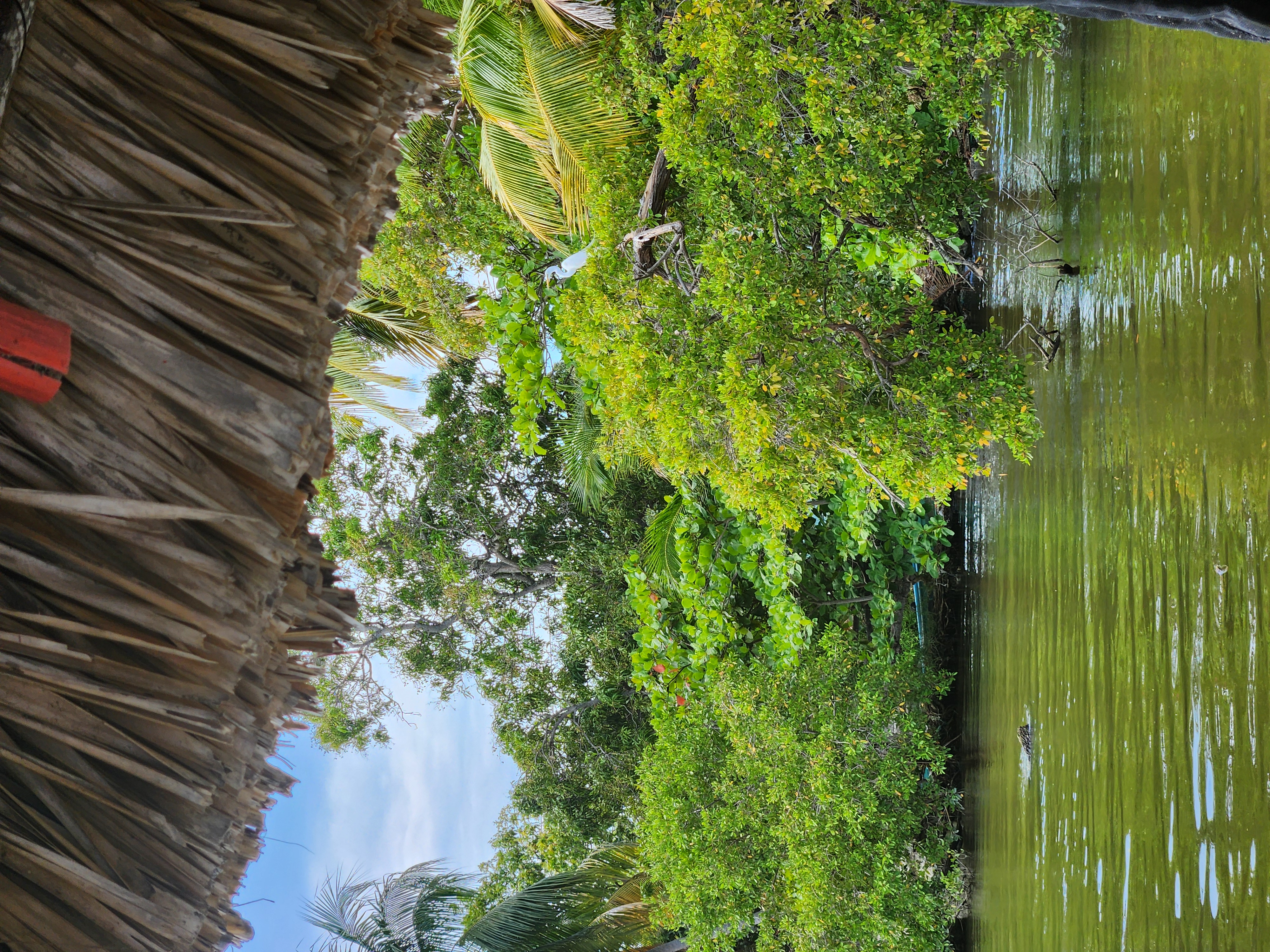 Von Oaxaca auf 2500 m.ü.M. - Foto 03a