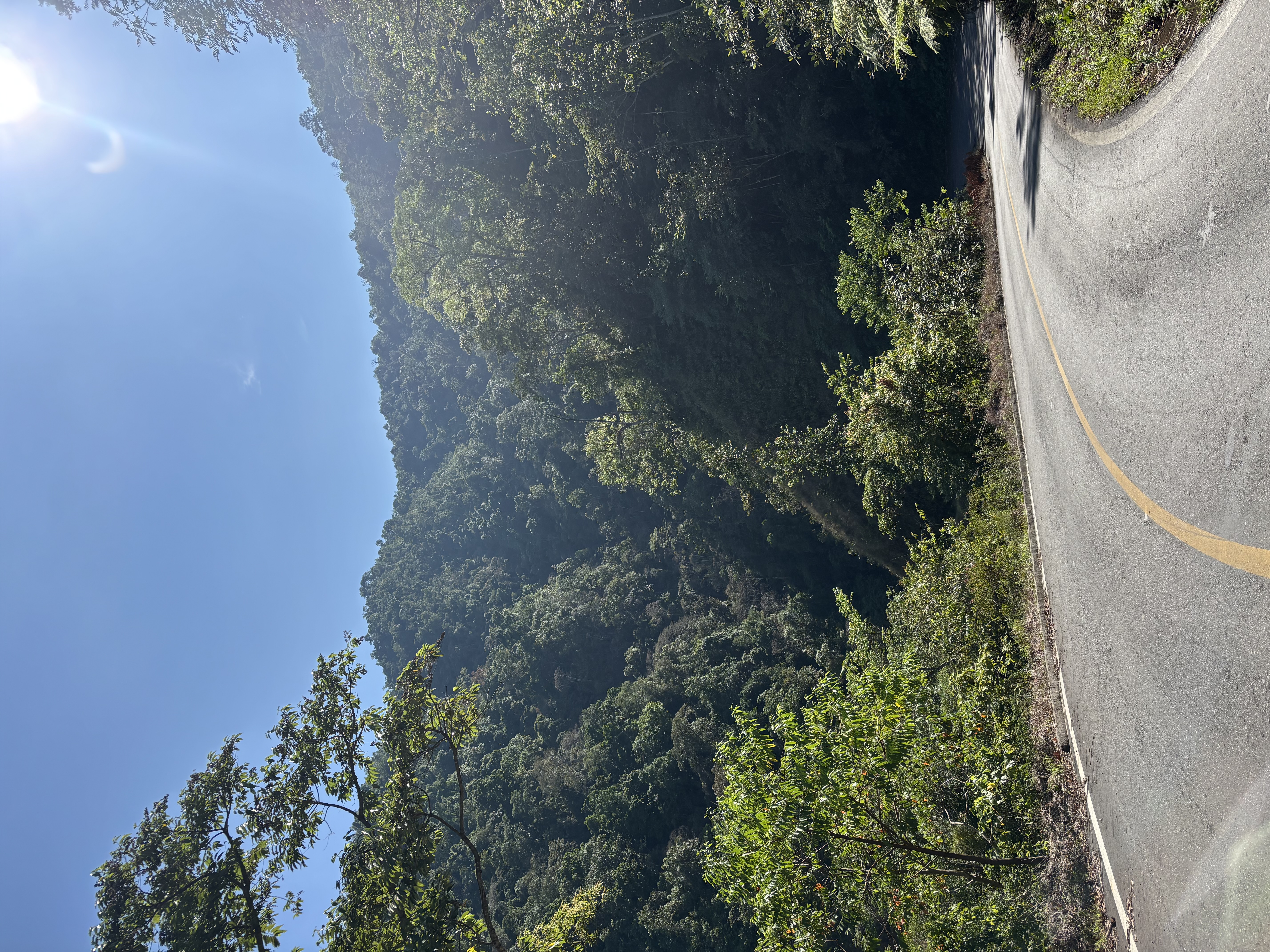 Von Oaxaca auf 2500 m.ü.M. - Foto 12