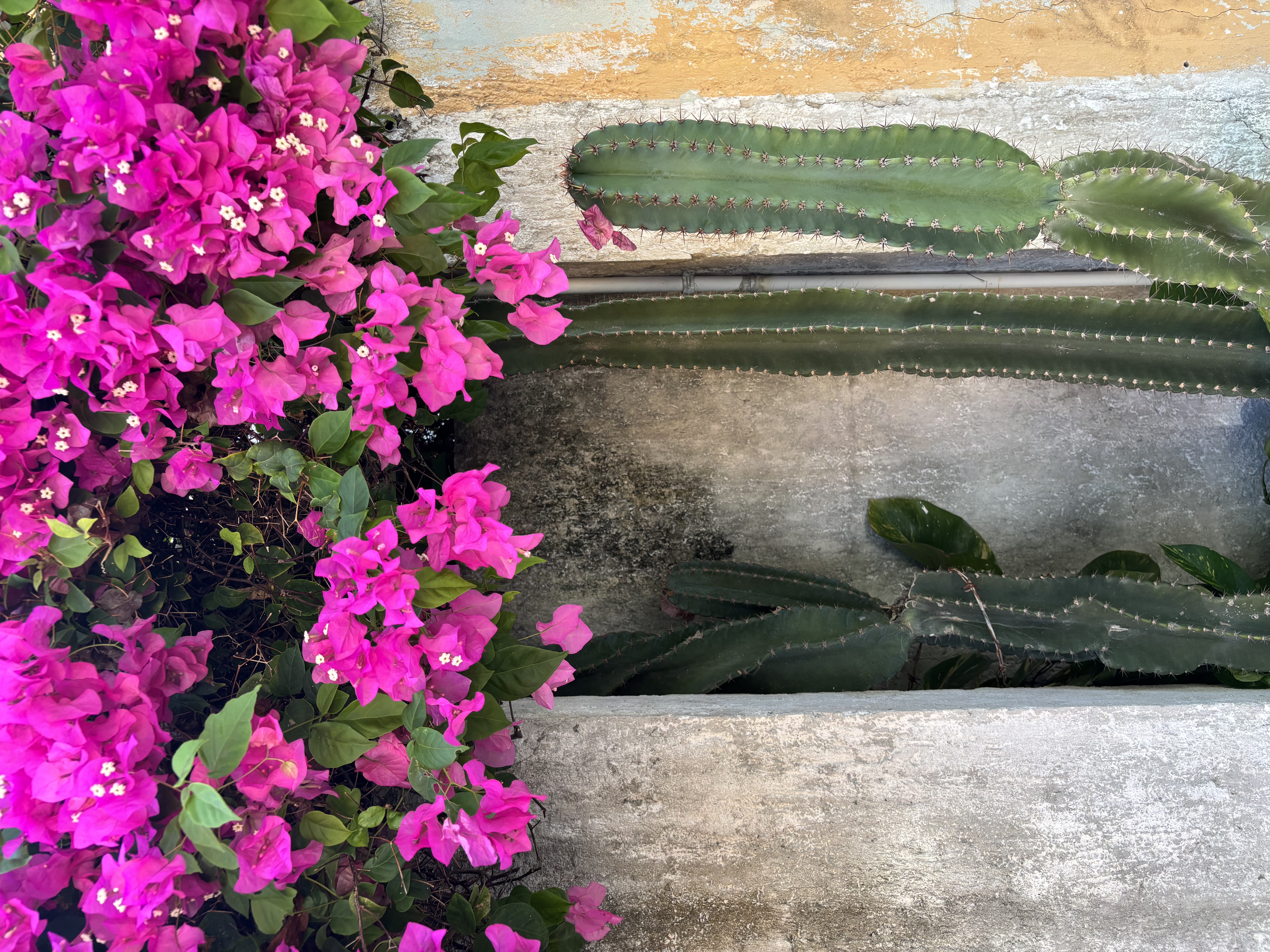 Von Oaxaca auf 2500 m.ü.M. - Foto 20