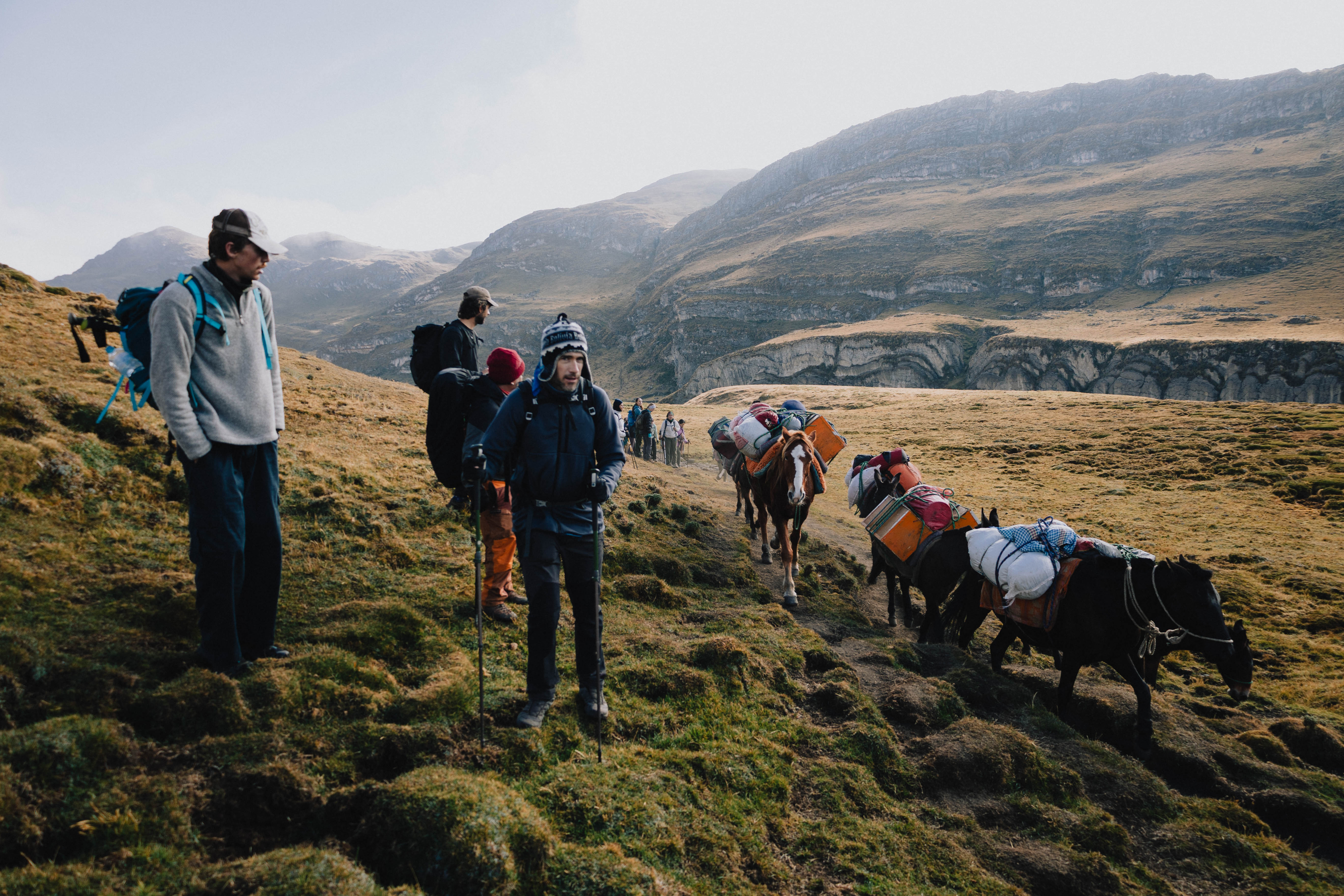 Huayhuash – Wandergruppe mit bepackten Packeseln auf einem Grashang