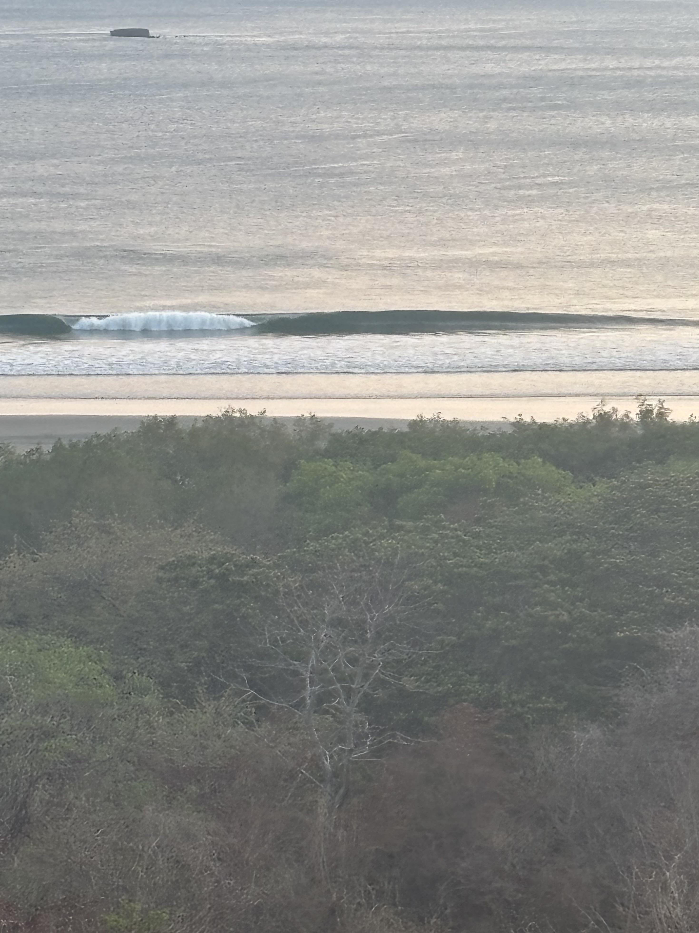 Schweiss, Schaufeln und Skorpione - Blick über den Dschungel aufs Meer