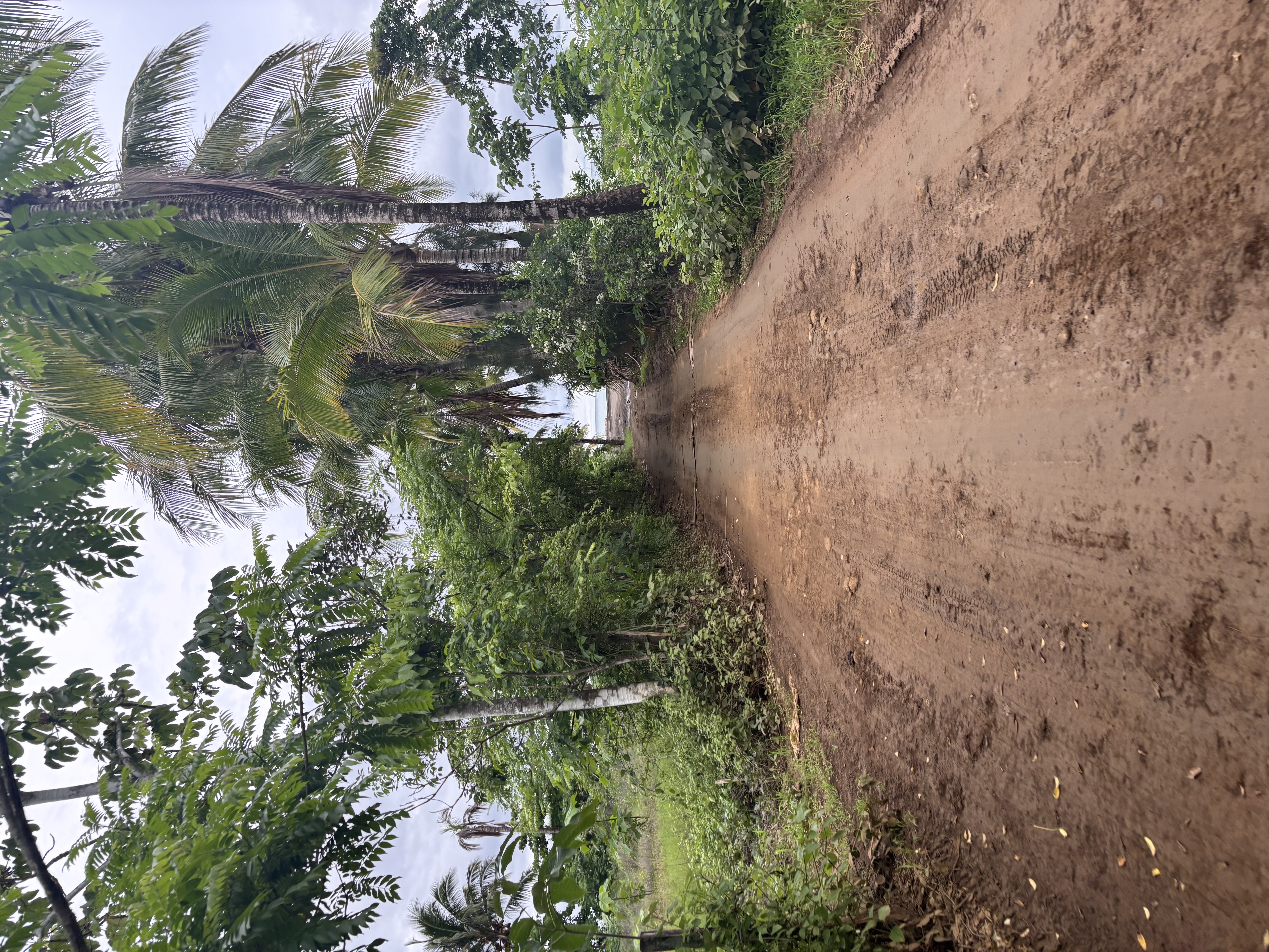 Oh, wie schön ist Panama! - mit dem Motorrad entlang der Küste über dem schwarzen Strand