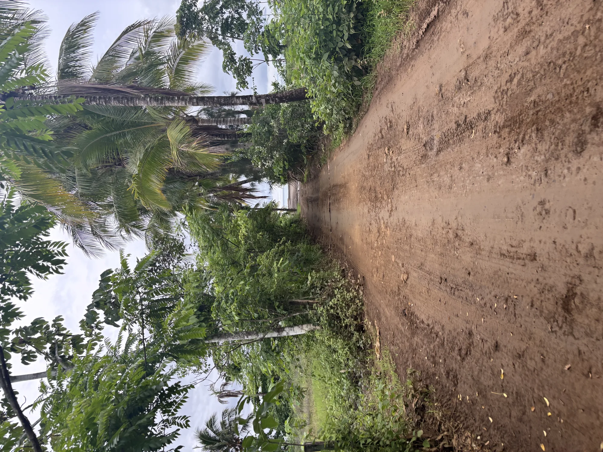 Oh, wie schön ist Panama! - mit dem Motorrad entlang der Küste über dem schwarzen Strand