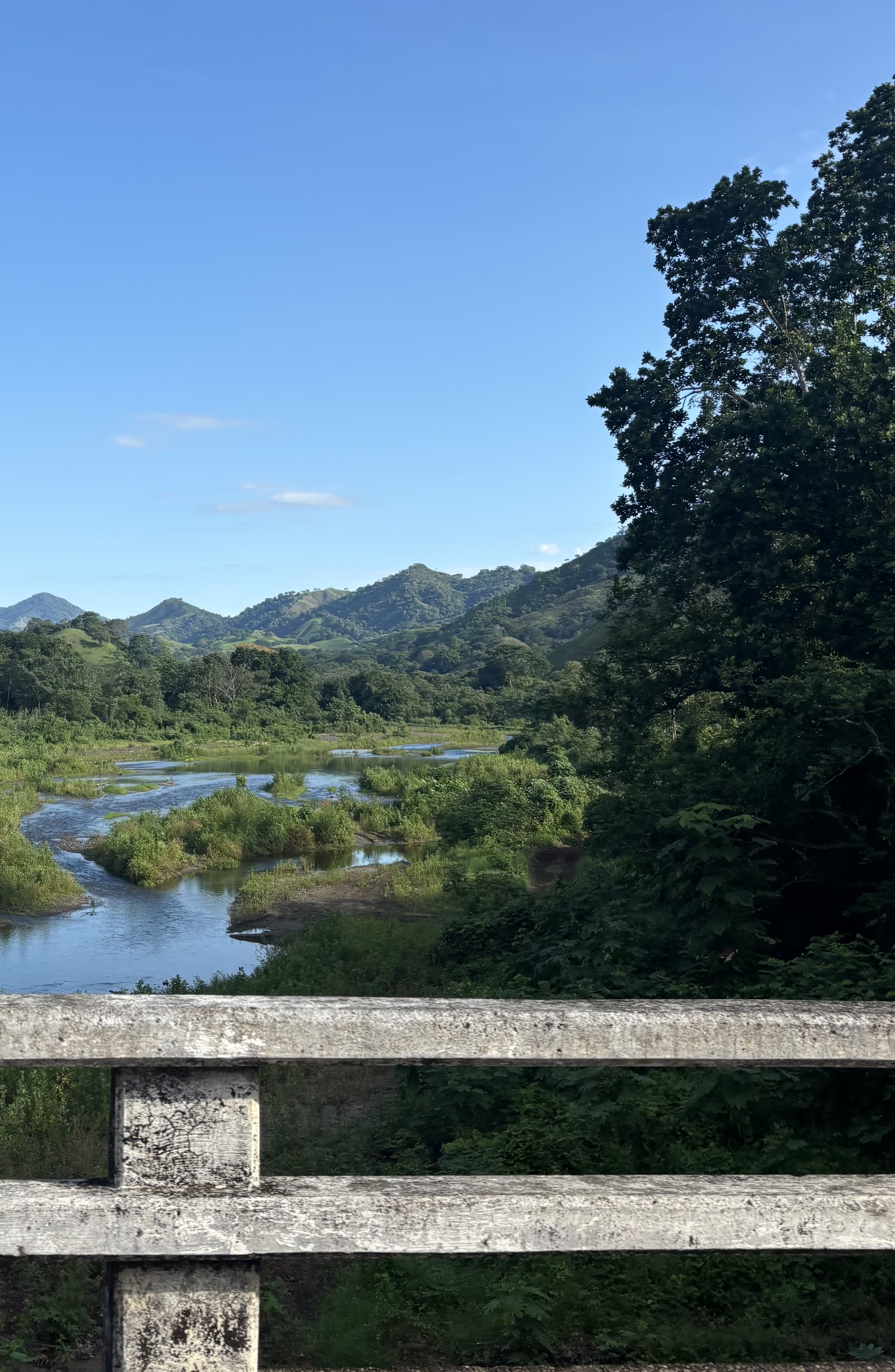 Oh, wie schön ist Panama! - ein Fluss windet sich durch den Dschungel